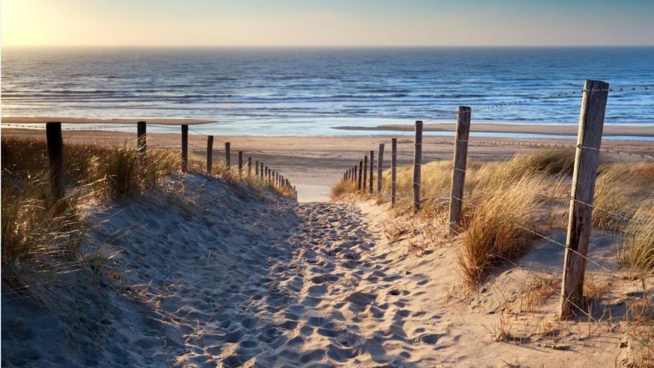 Coconut Beach Apartments Zandvoort Eksteriør billede